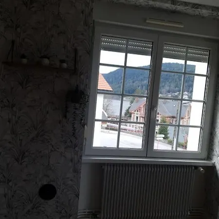 L'aubepine Au Bord Du Lac * Gérardmer